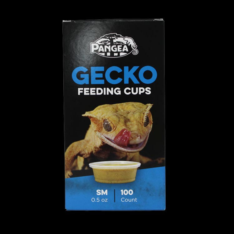 Small Silicone Gecko Feeding Cups - Pangea Reptile LLC