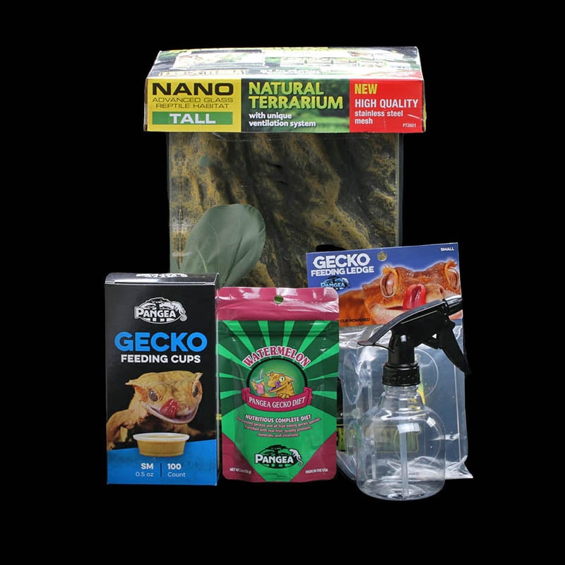 Crested gecko vivarium kit hotsell