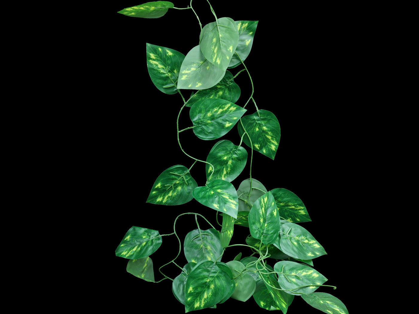 Pathos Vine - Wilbanks Realistic Plant