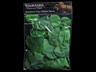 Reniform Vine - Wilbanks Realistic Plant