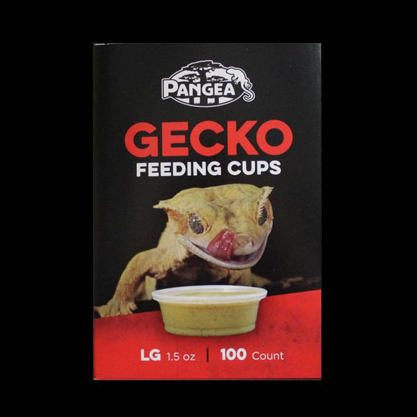 Gecko feeding outlet cups