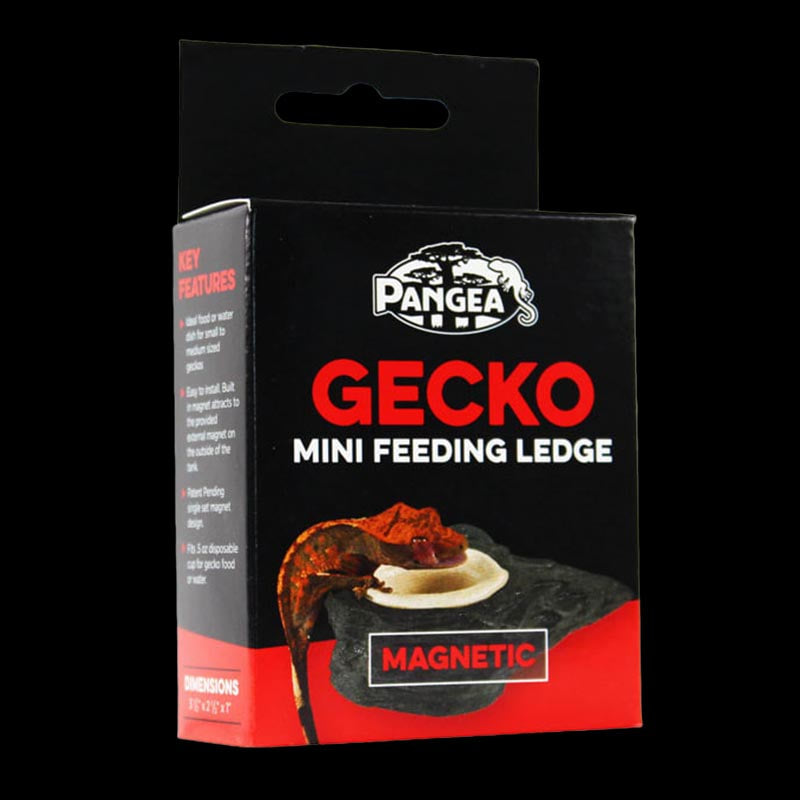 Pangea mini magnetic outlet gecko feeder ledge