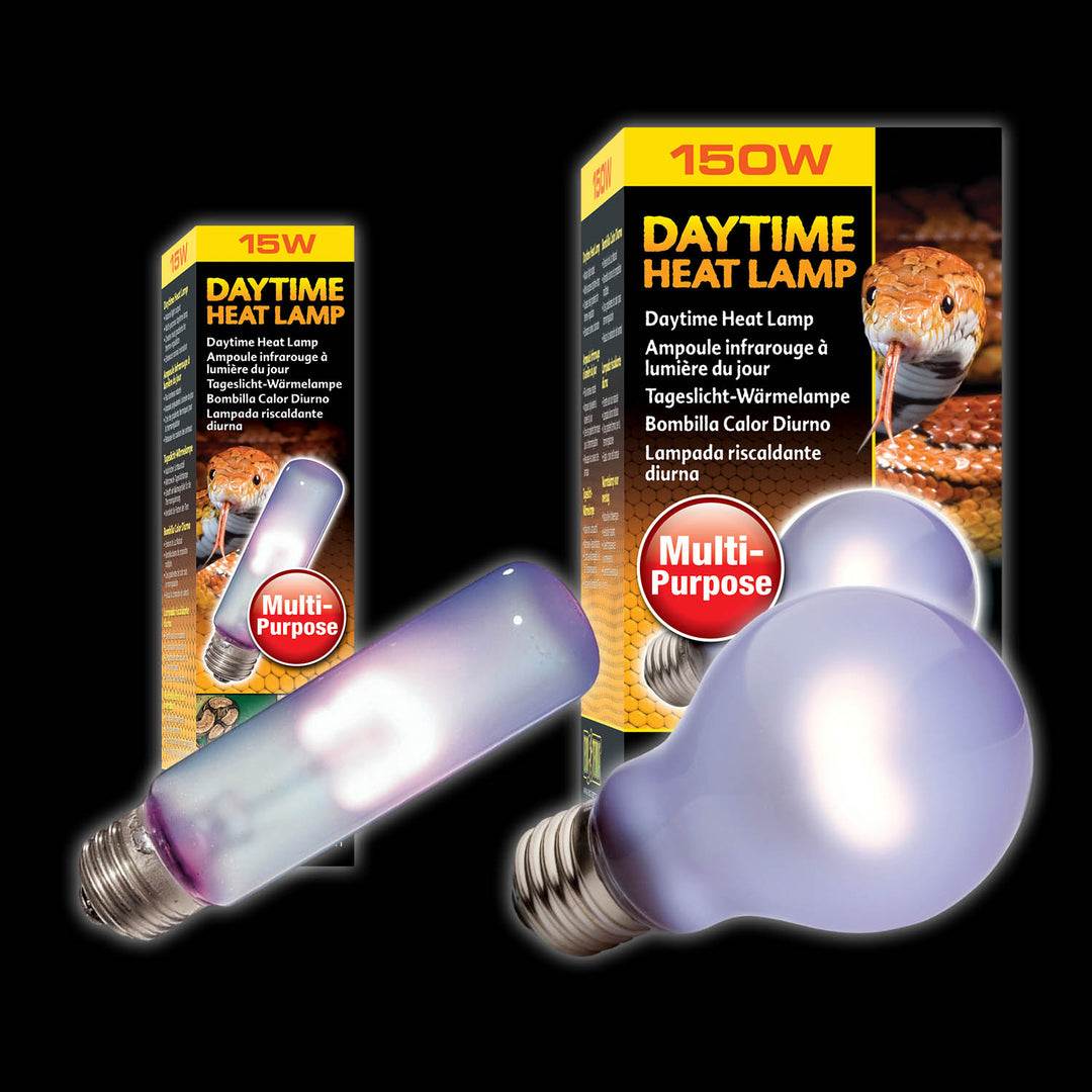 Exo terra daytime heat lamp hotsell