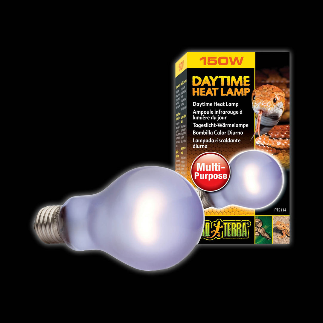 Exo terra 150 watt bulb best sale